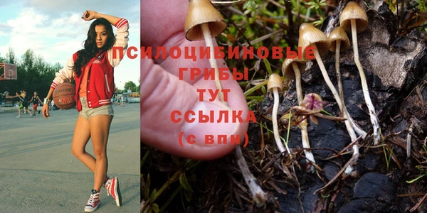 кристаллы Алексеевка