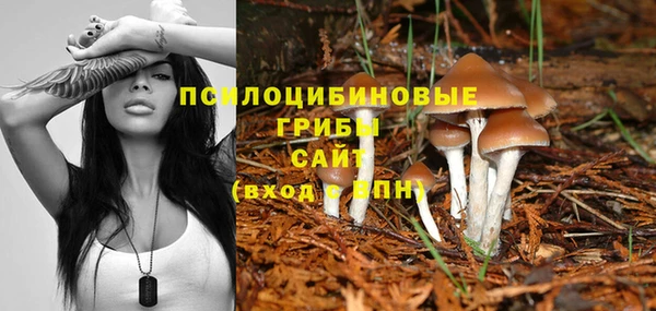 наркотики Алексин